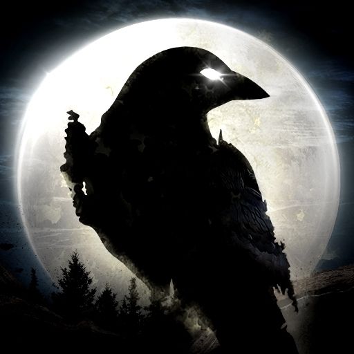 NIGHT CROWS : 夜鴉